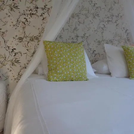 Grandma House In Anaga Rural Park *